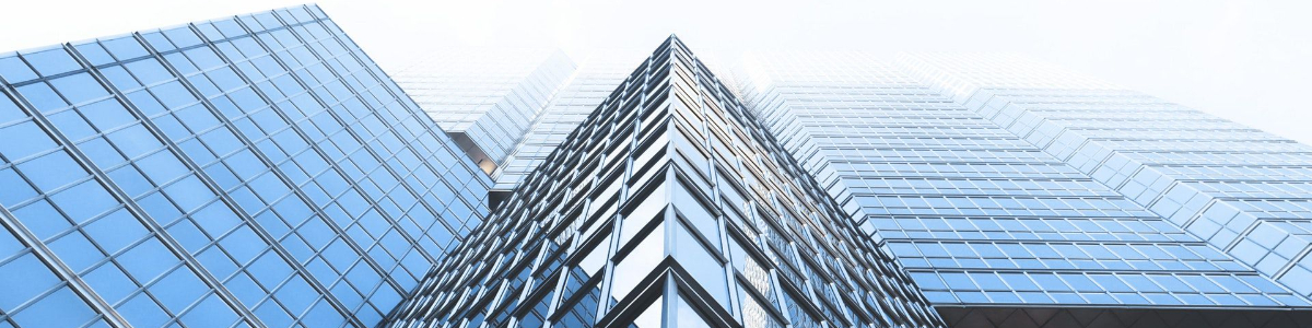 解密香港人的授權公證:權威指南